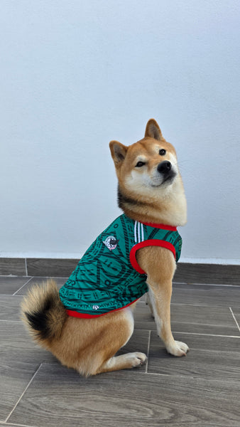 Playera Selección Mexicana para Perros