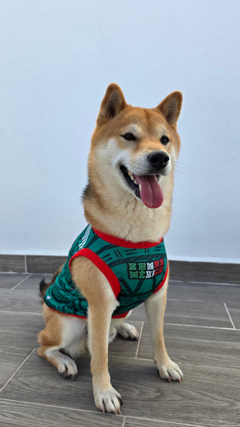 Playera Selección Mexicana para Perros
