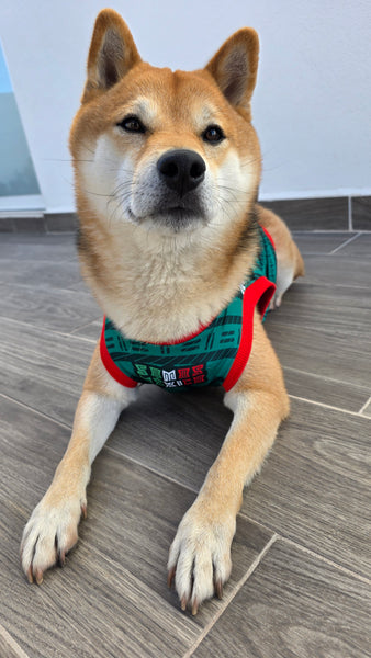 Playera Selección Mexicana para Perros