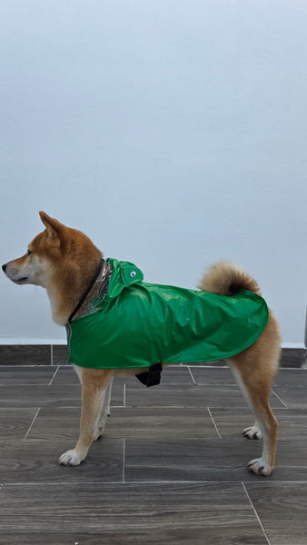 Impermeable Ranita