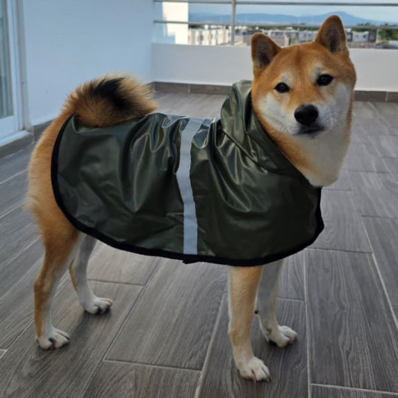 Impermeable para perro