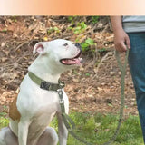 Correa Manos Libres para Perro con Cangurera Ajustable