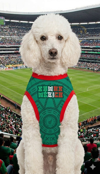 Playera Selección Mexicana para Perros