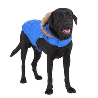 Chaleco con Gorro para Perros Grandes