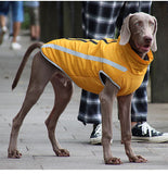 Chaleco Impermeable para Perros Tallas Grandes