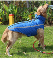 Chaleco Impermeable para Perros Tallas Grandes