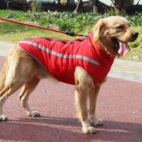 Chaleco Impermeable para Perros Tallas Grandes