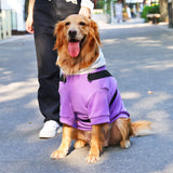 Sudadera "Purple" para Perros Grandes