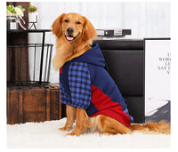 Sudadera Melbourne para Perros Grandes