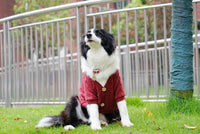 Sueter tipo Cardigan para Perros Grandes