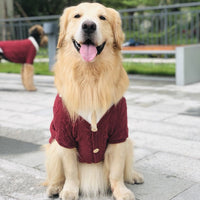 Sueter tipo Cardigan para Perros Grandes