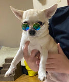 Lentes de armazón para perros raza pequeña.