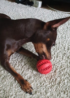 Pelota de estimulación mental