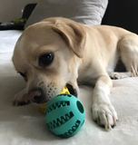 Pelota de estimulación mental