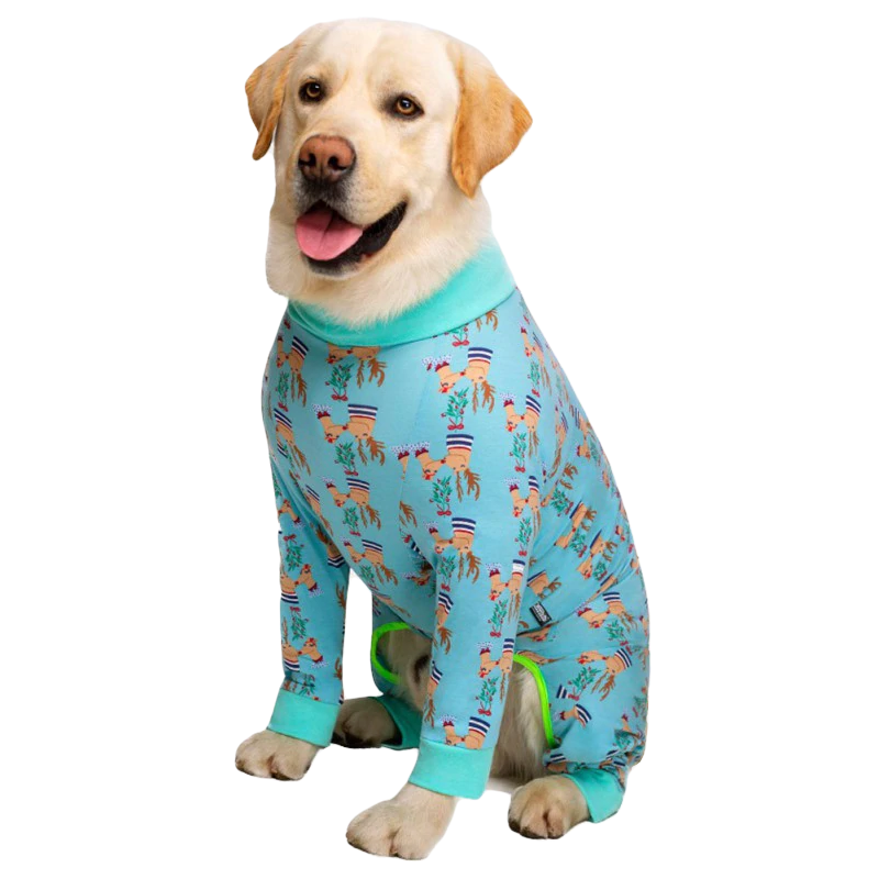 Pijamas familiares perros - Caballero - Pijamas Topacio