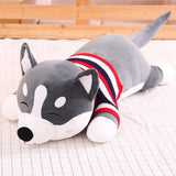 Peluche Gigante Husky