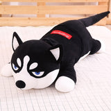 Peluche Gigante Husky