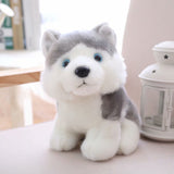 Peluche Husky