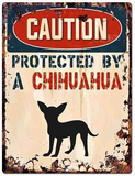 Sticker "Protected by a Chihuahua"