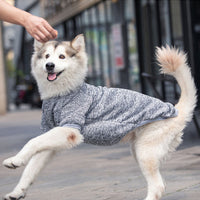 Sudadera para Perro Razas Grandes